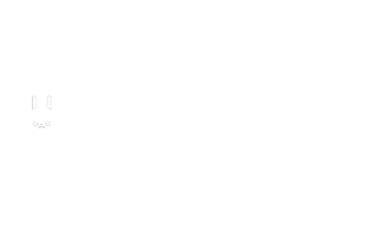 jaderabbit